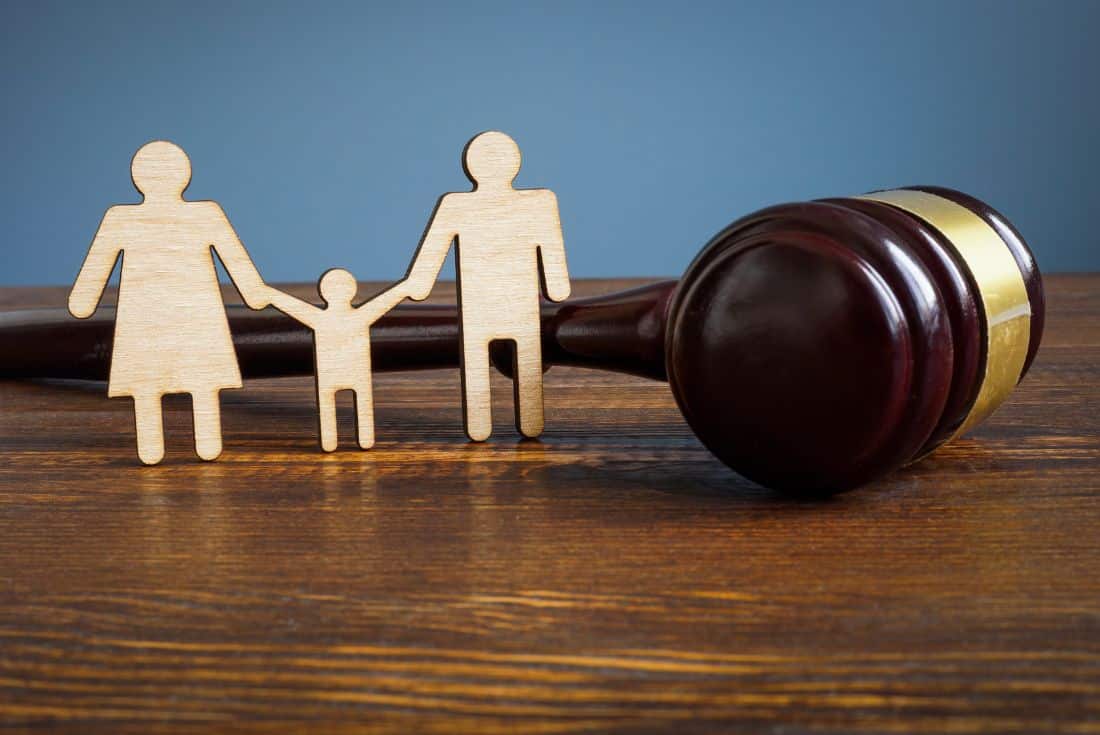 Different Court Cases That Fall Under Family Law
